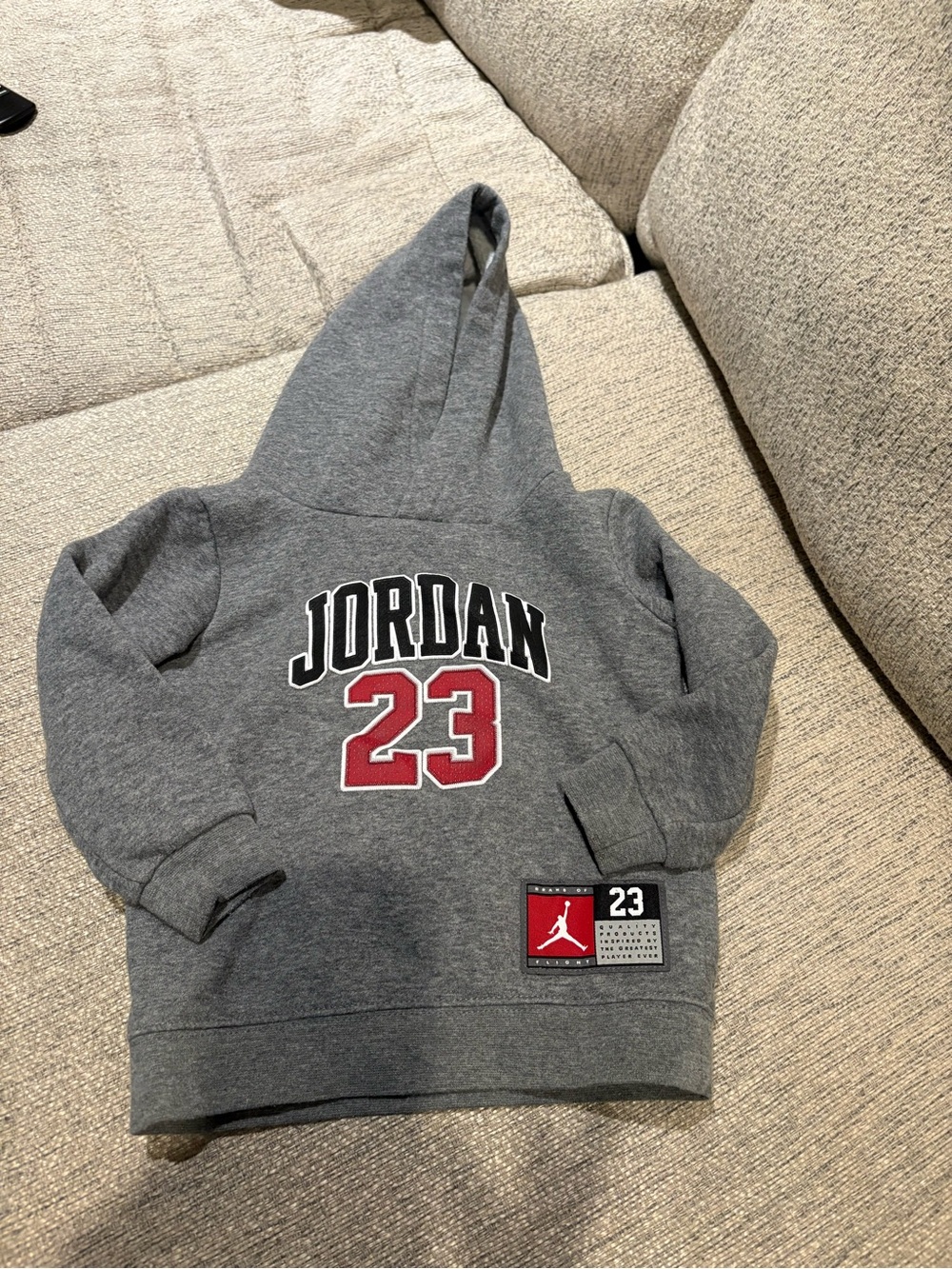 Toddler Jordan Gray Hoodie